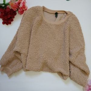 Wild Fable Tan Cropped Fuzzy Sherpa Sweater 4X